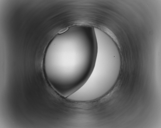 X0000090750946200707201029