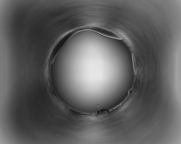 X0000090750948200707201029