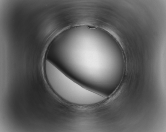 X0000090750949200707201029