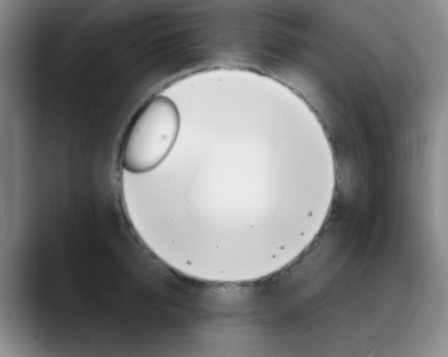 X0000090750950200707201029