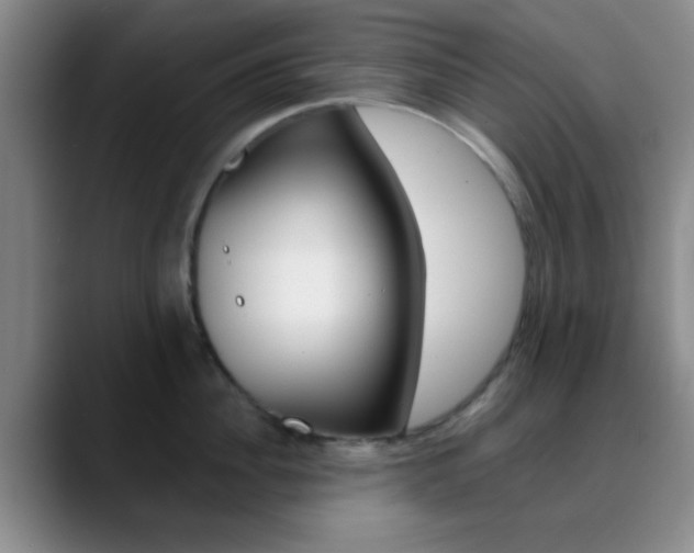 X0000090750956200707201029