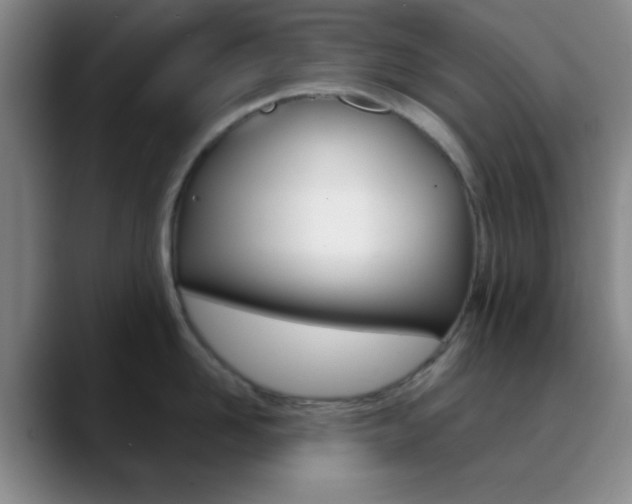 X0000090750958200707201029