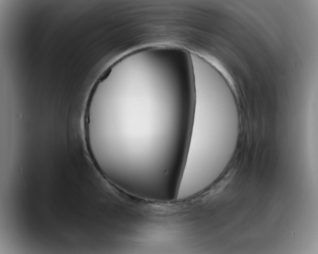 X0000090750959200707201029