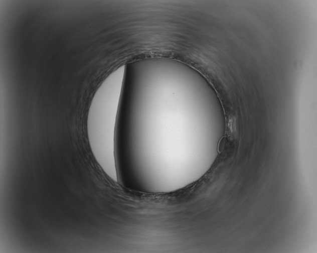 X0000090750963200707201028