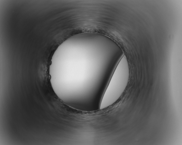 X0000090750964200707201028