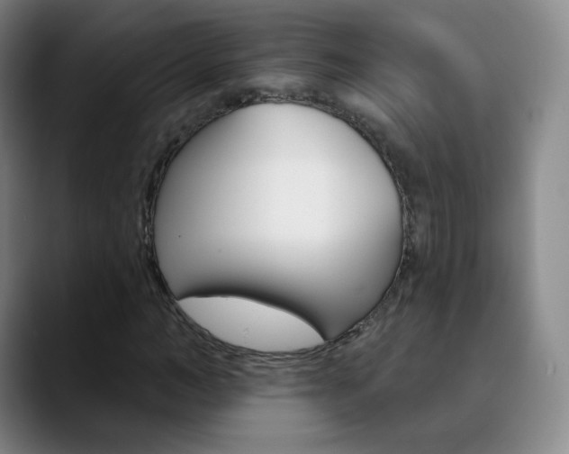 X0000090750966200707201028