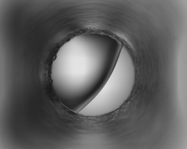 X0000090750968200707201028