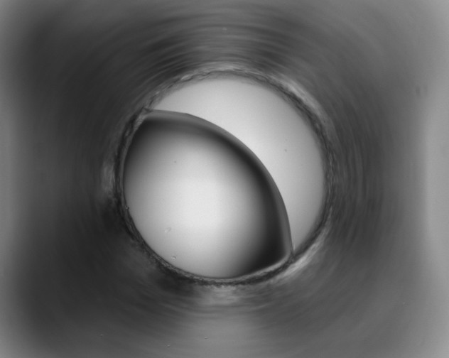 X0000090750969200707201028