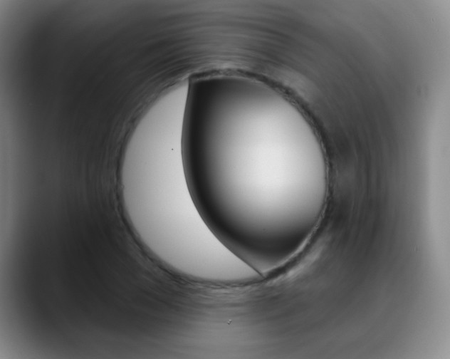 X0000090750977200707201028