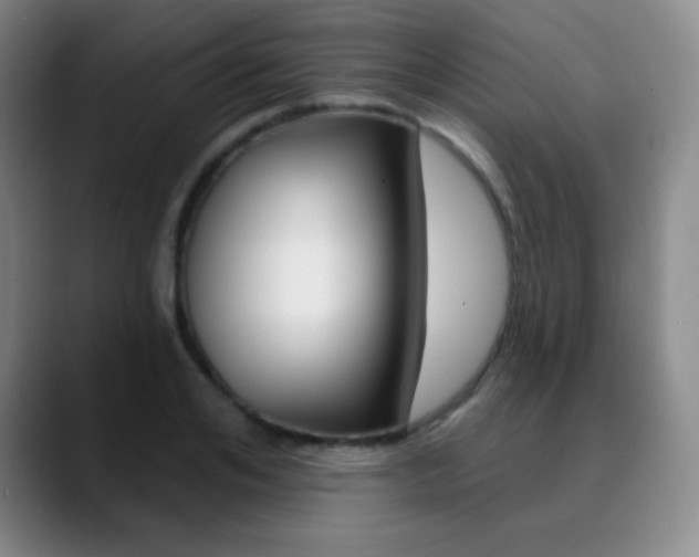 X0000090750984200707201028
