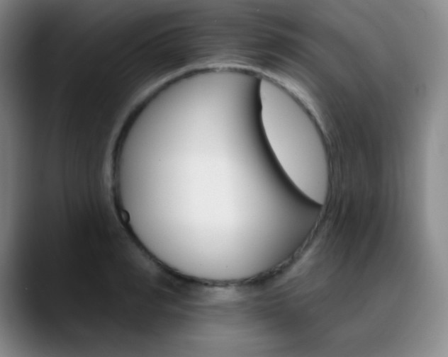 X0000090750990200707201028