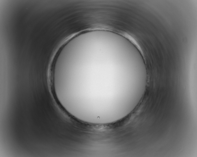 X0000090751003200707201028