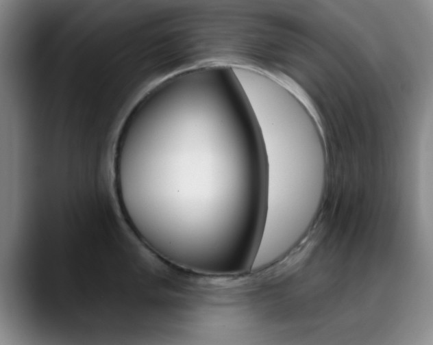 X0000090751005200707201028