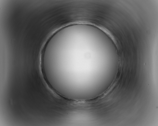 X0000090751006200707201028