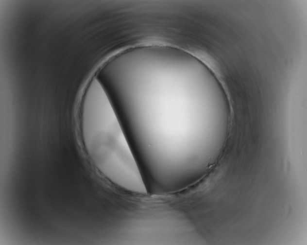 X0000090751008200707201028