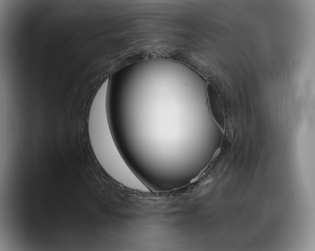 X0000090751010200707201027