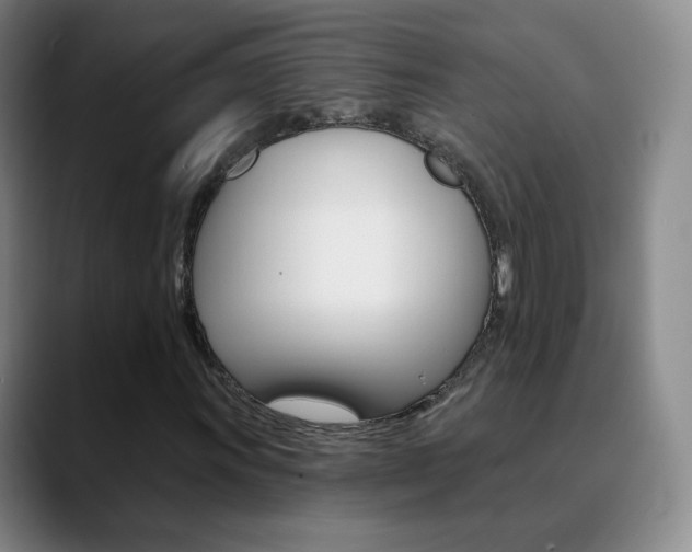 X0000090751011200707201027
