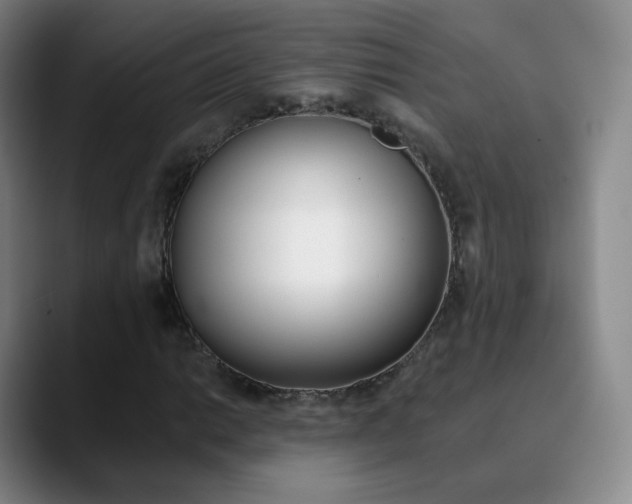 X0000090751014200707201027