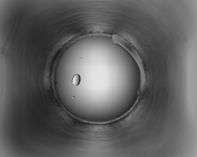 X0000090751018200707201027