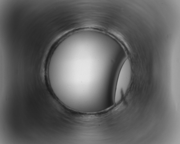 X0000090751024200707201027
