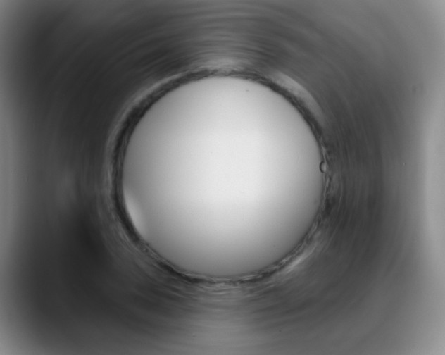X0000090751027200707201027