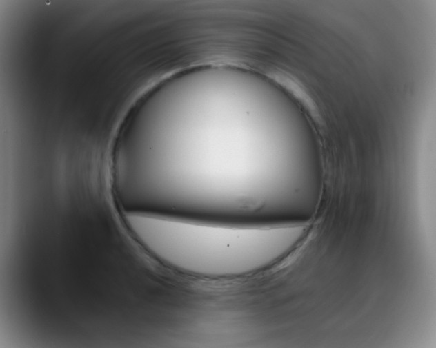 X0000090751040200707201028