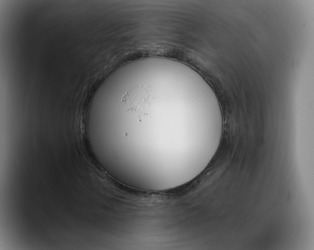 X0000090751058200707201027