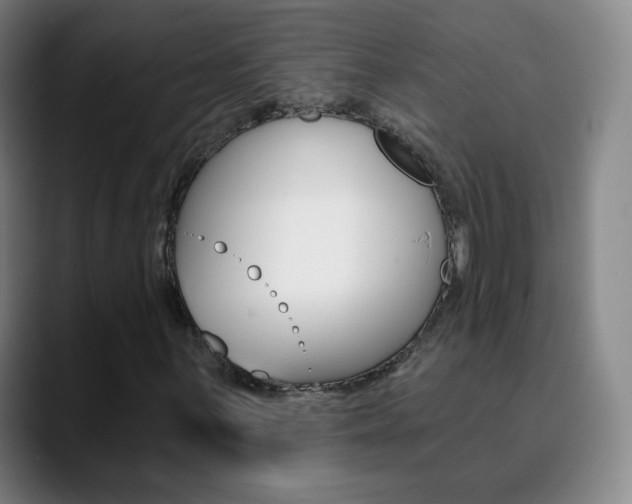 X0000090751059200707201027