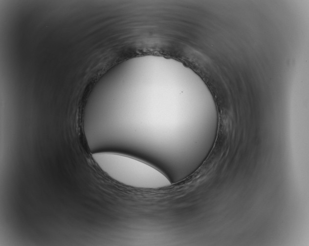 X0000090751060200707201027