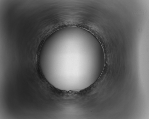 X0000090751061200707201027