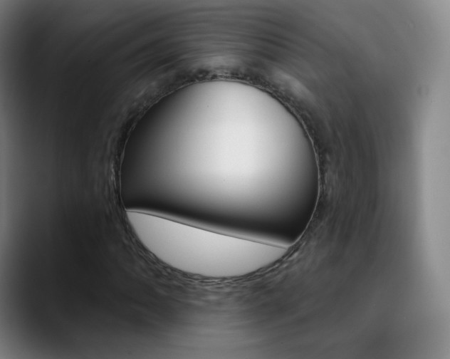X0000090751062200707201027
