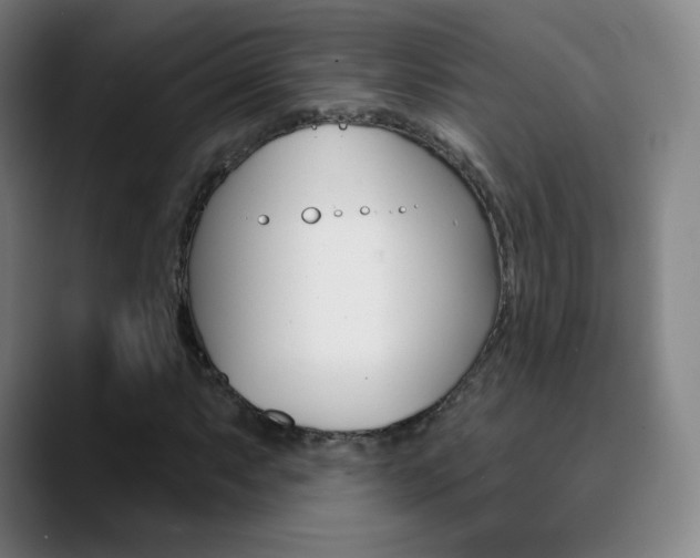 X0000090751063200707201027