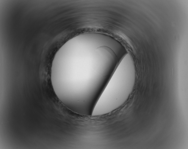 X0000090751064200707201027