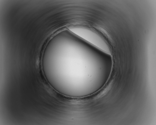 X0000090751065200707201027