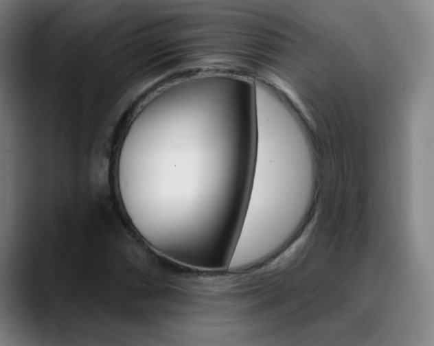 X0000090751066200707201027