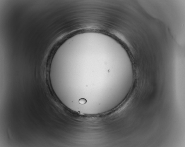 X0000090751067200707201027