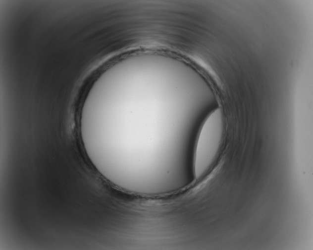 X0000090751070200707201027