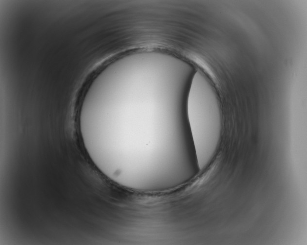 X0000090751071200707201027