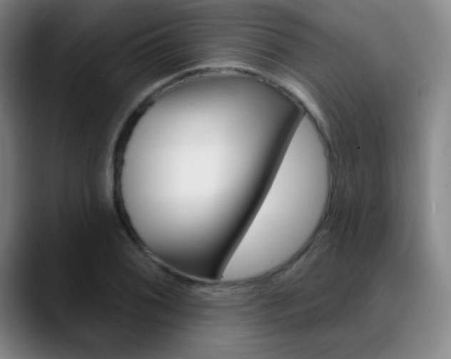 X0000090751076200707201027