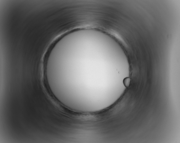 X0000090751079200707201027