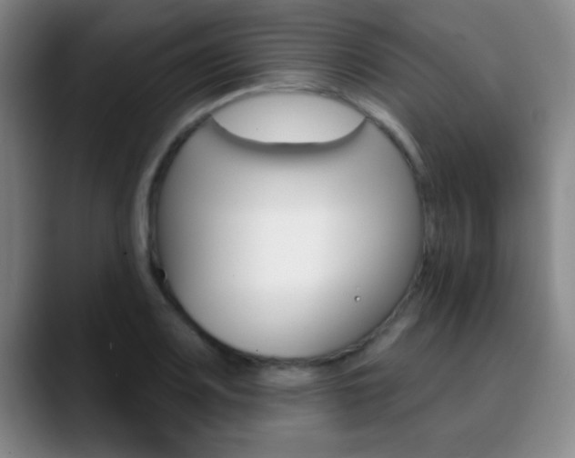 X0000090751083200707201027