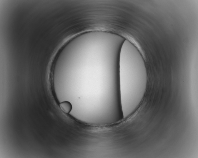 X0000090751091200707201027