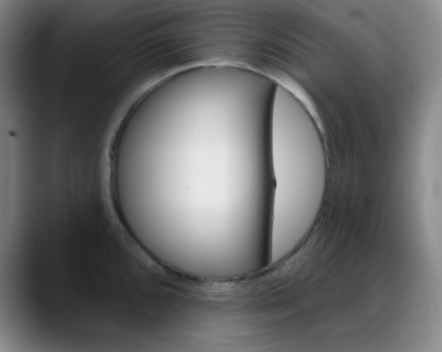 X0000090751096200707201027