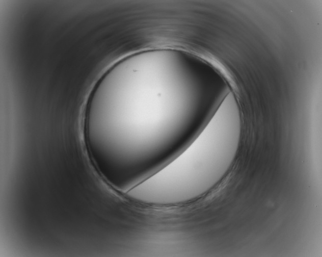 X0000090751102200707201027