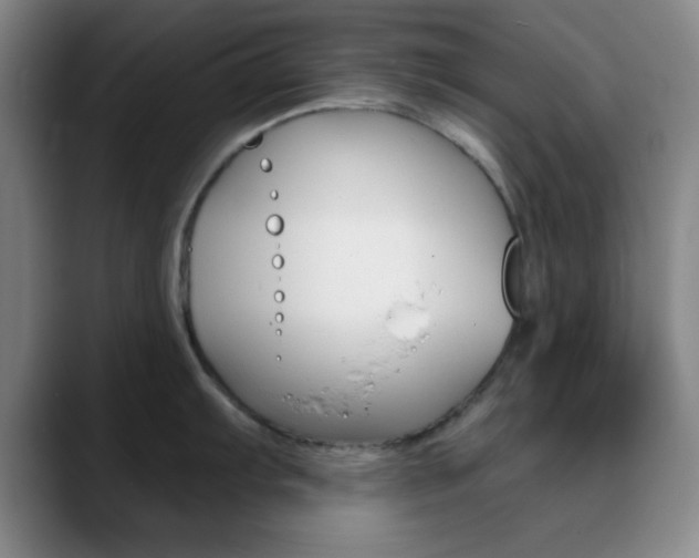 X0000090751103200707201027
