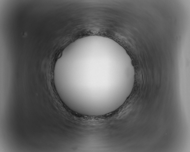 X0000090751105200707201026