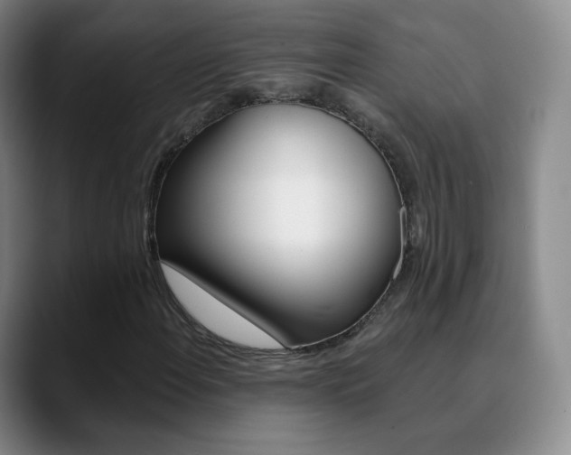 X0000090751108200707201026