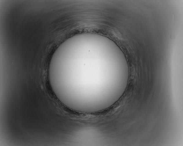 X0000090751109200707201026