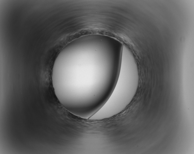 X0000090751110200707201026
