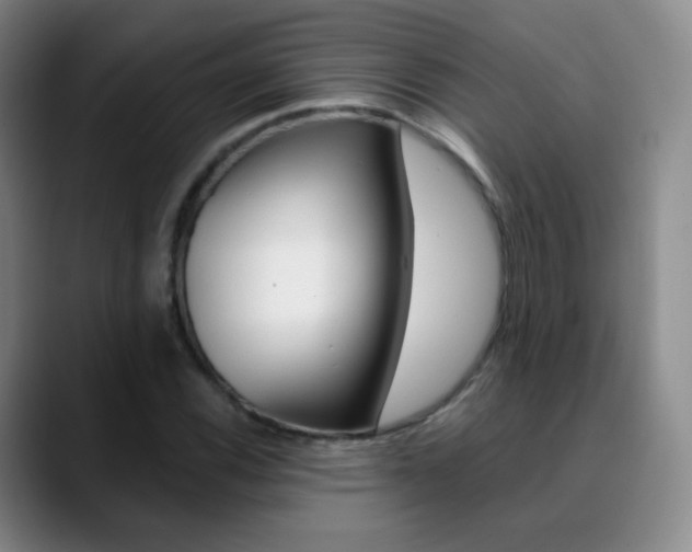 X0000090751116200707201026
